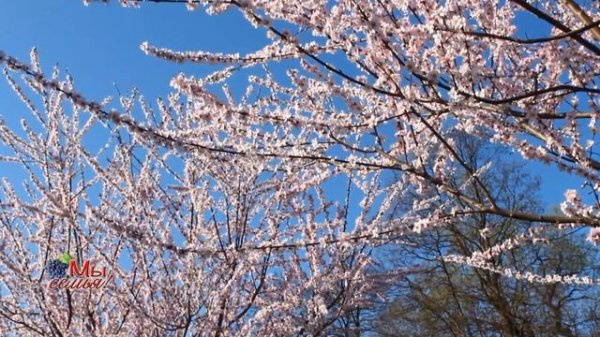 Отзывы отдыхающих Март 2018 Наталья Лицманенко