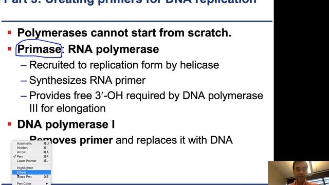 Chapter11 - 3 - Bacterial Replication смотреть онлайн