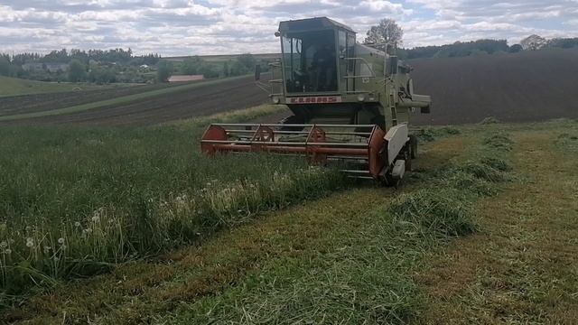 CLAAs Dominator 66 не тільки комбайн,але і "косарка-плющилка"😌 смотреть онлайн