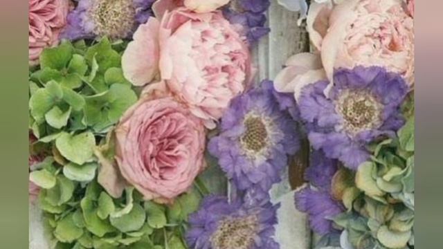 С днём рождения любимая . смотреть онлайн