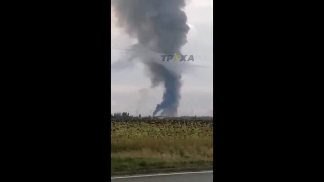 Утро в Крыму начинается не с кофе 16 августа смотреть онлайн