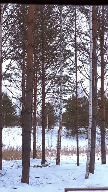Тишина и красота! Уединение с природой! смотреть онлайн