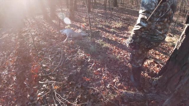 DEER HUNTING GIANT NON TYPICAL SUBURBAN BUCK "MEDUSA" смотреть онлайн