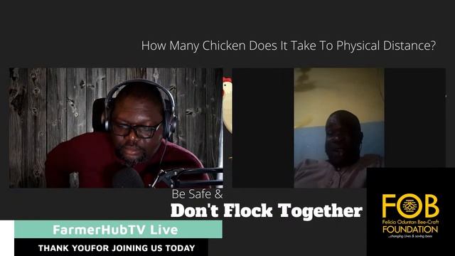 How to Run a Successful Ram Fattening Business – (Step-By-Step) смотреть онлайн