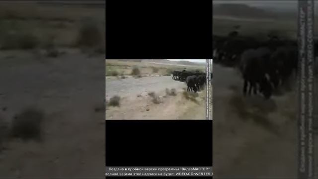 VID 20170707 174920 converted смотреть онлайн