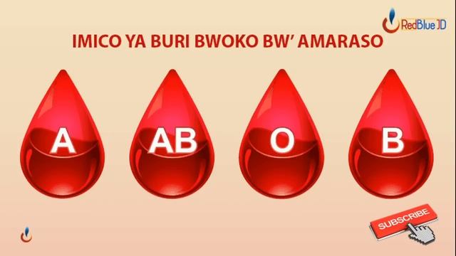Imico ya buri bwoko bw' AMARASO uko itandukana ku bantu:| Sobanukirwa by Kayishunge смотреть онлайн