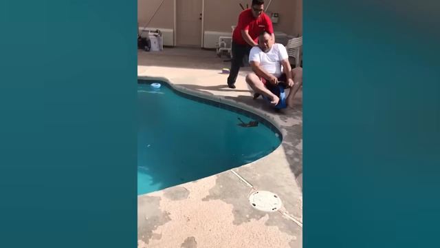 Лучший водный провал смотреть онлайн