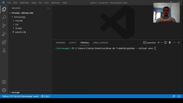 Curso de Python - Ambiente Virtual, Intro Numpy смотреть онлайн