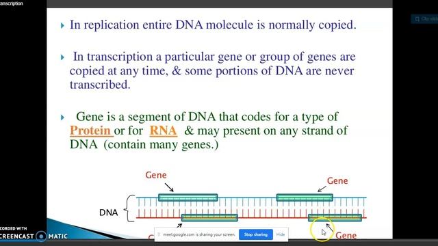 Molecular Biology – Transcription Dr J Asnet Mary смотреть онлайн