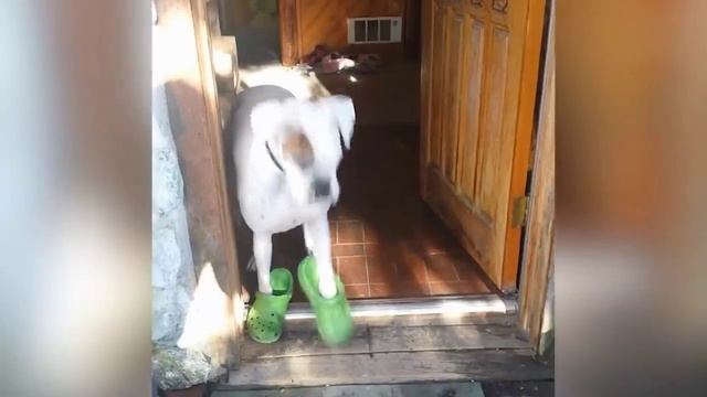 Вниз скользит ФЕЙЛ! 🤣 _ Смешные фейлы смотреть онлайн