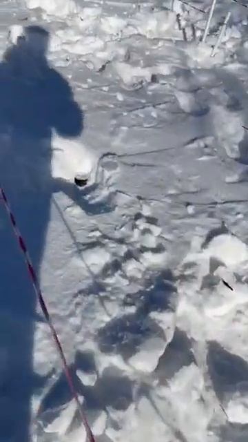 Обнаружение мин разного типа на испытательном полигоне металлоискателем Альфамарин 5000. смотреть онлайн