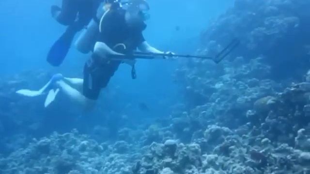 Alfamarine 5000 дайвинг в море с металлоискателем смотреть онлайн