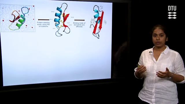 Characterization of PIPPI on the Molecular Level Using In-Silico Simulation Tehcniques смотреть онлайн