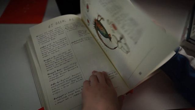 Самая загадочная книга 20 века