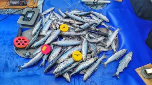 ПОЙМАЛ ЦЕЛУЮ ГОРУ РИПУСА! ЛОВЛЯ РИПУСА в ЯНВАРЕ. Озеро Увильды. Рыбалка 2025