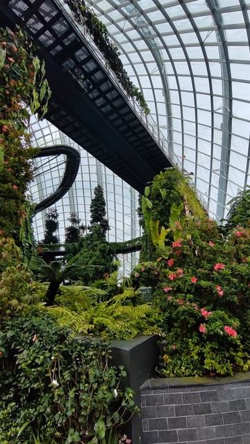 Что находится в самом сердце Сингапура? смотреть онлайн