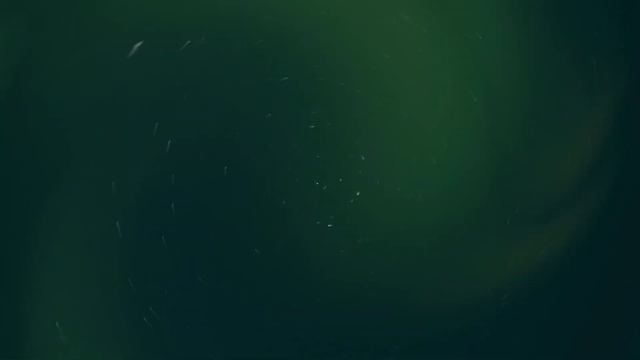 ЦІКАВІ ФАКТИ з легкої атлетики | Фізична культура | Модуль легка атлетика | Дистанційне навчання смотреть онлайн