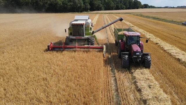 Claas Mega Dominator 218 Gerste Ernte 2022 смотреть онлайн