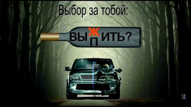 Автошкола : будни обучения смотреть онлайн