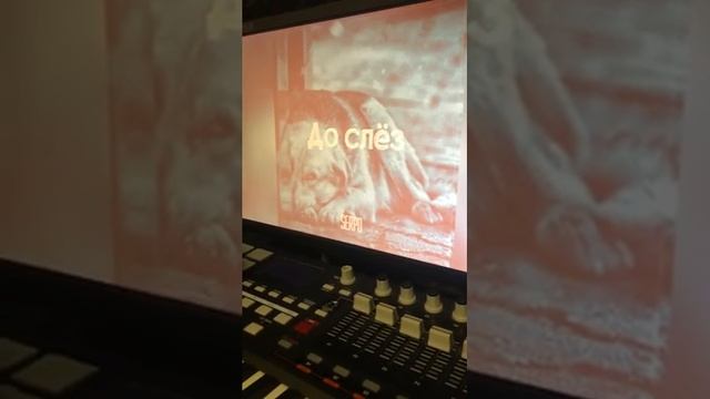 SERPO - До слез (serpo production) смотреть онлайн