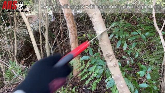 ARS CAM-PRO series Professional Pruning Saw смотреть онлайн