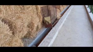 ЯНГИ УСЛУБДА МОЛХОНА КУРИШ 2020