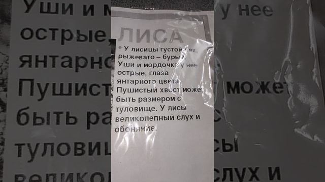 1000007308.mp4 смотреть онлайн