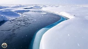 "Музыка для души: инструментальные композиции для глубокого релакса и улучшения настроения"