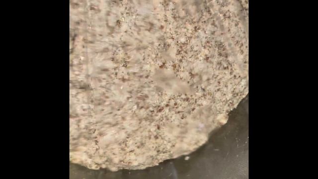 No carb flaxseed and coconut flour pita bread смотреть онлайн