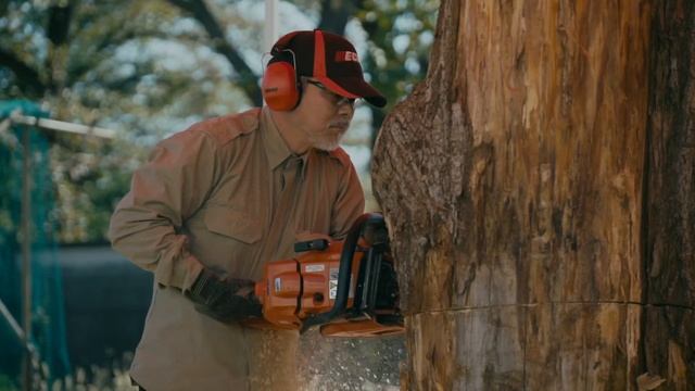 Escultores con motosierra ECHO смотреть онлайн
