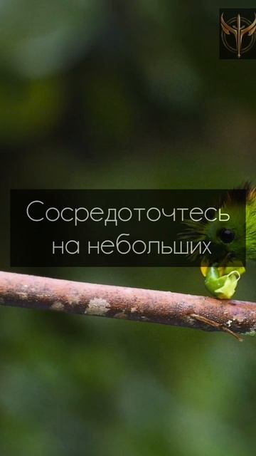 Как побороть лень. Японские техники