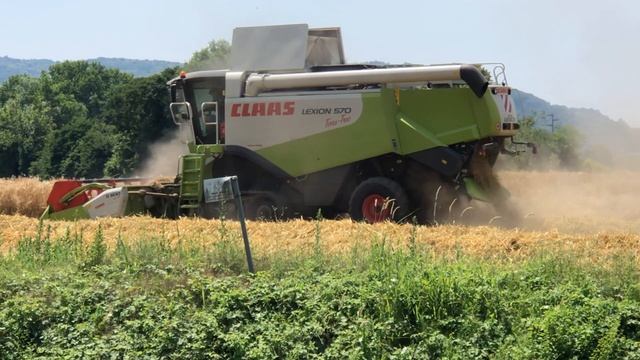 Claas Lexion 570 Terra Trac wheat harvest смотреть онлайн
