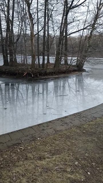 Как ты, Терлецкая Дубрава?