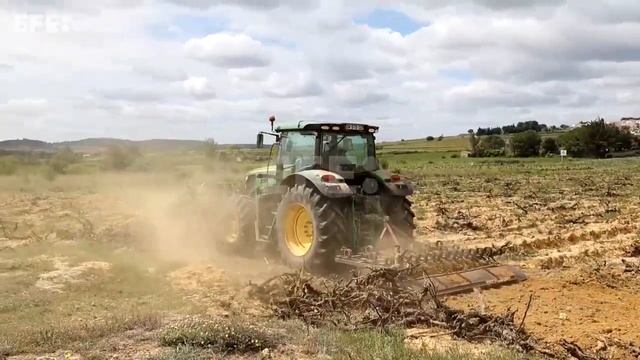 La sequía se ceba con el sureste de Francia y el campo cambia las viñas por aloe vera смотреть онлайн
