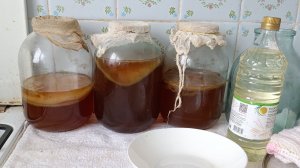 чайный гриб комбуча почему не растёт, отчего тонет, не всплывает, чем кормить, как с ним обращаться