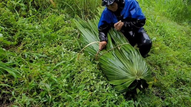 Repair the roof Take care of the livestock, Grow bananas around the farm, Life Living Nature -Day 1 смотреть онлайн