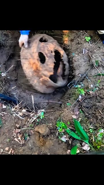 Я это так не оставлю! #металлоискатель смотреть онлайн