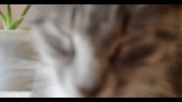 ЧТО Я ЧИТАЮ? I ЛЮБИМЫЕ КНИГИ ♡ смотреть онлайн