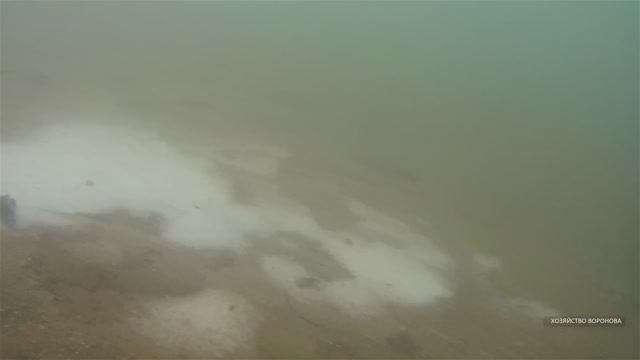 Соль в пруд с рыбой смотреть онлайн