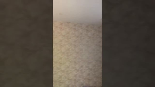 WhatsApp Video 2022 05 26 at 13 47 18 смотреть онлайн