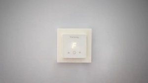 Tерморегулятор Thermoreg TI-300