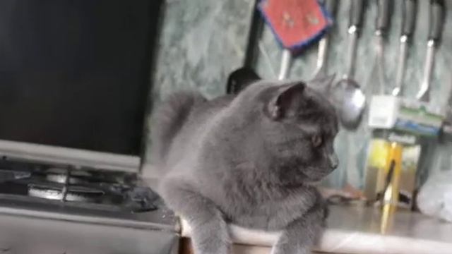 Мурзило смотреть онлайн