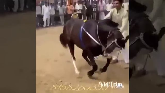 davraga tush смотреть онлайн