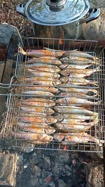 Барабулька смотреть онлайн
