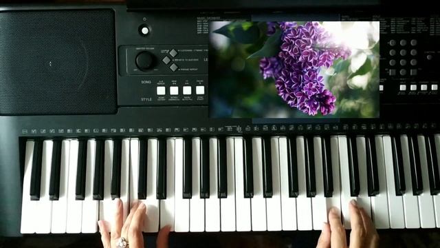 Ukrainian Songs! "П'янкий бузок"! Авторська пісня Оксани Узікової на синтезаторі! Музика для душі! смотреть онлайн