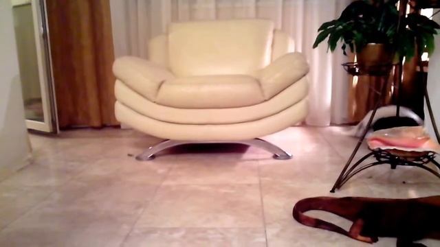 вечерний моцион смотреть онлайн