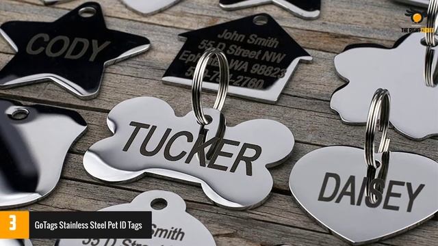 Best Dog ID Tags In 2021 Top 5 Picks! смотреть онлайн