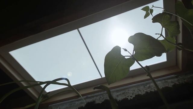 Innerscene Virtual Sun Model A7 - 24 hour Circadian Rhythm Cycle смотреть онлайн