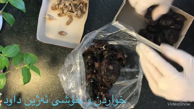 کولیچەی خورما بە دوو جۆر ئارد смотреть онлайн