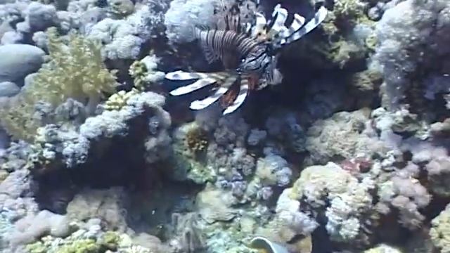 Египет 2 часть(13) смотреть онлайн